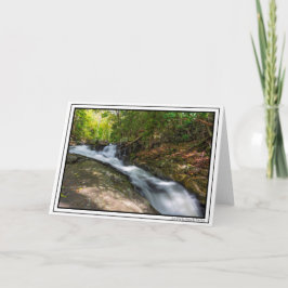 Herfsten splitsen op Zand Spring Run Kaart