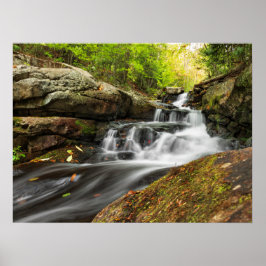 Herfsten splitsen op Zand Spring Run Poster