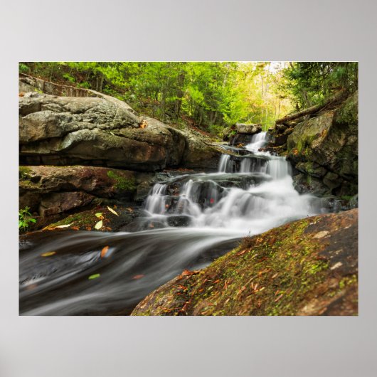 Herfsten splitsen op Zand Spring Run Poster (Voorkant)