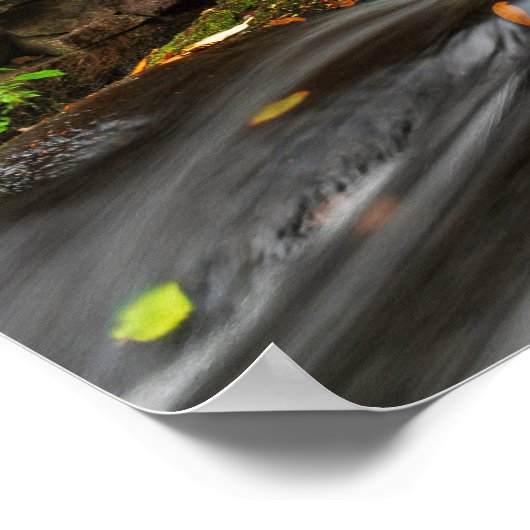 Herfsten splitsen op Zand Spring Run Poster (Hoek)