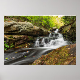 Herfsten splitsen op Zand Spring Run Poster