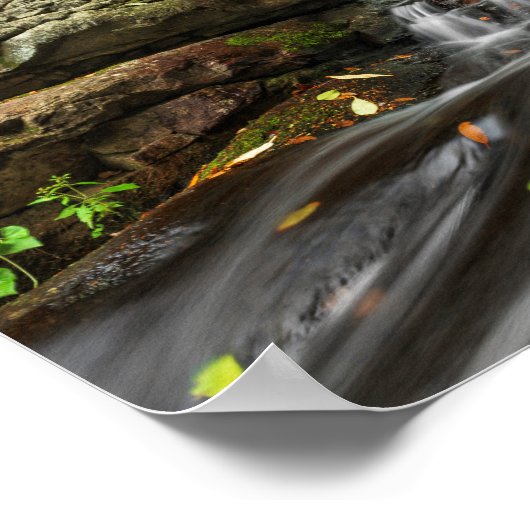 Herfsten splitsen op Zand Spring Run Poster (Hoek)