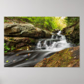 Herfsten splitsen op Zand Spring Run Poster (Voorkant)