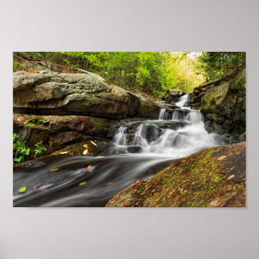 Herfsten splitsen op Zand Spring Run Poster (Voorkant)