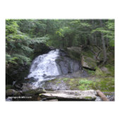 Herfsten van Alder Foto Afdruk (Voorkant)