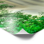 Herfsten van Blackwater, West Virginia Foto Afdruk (Hoek)