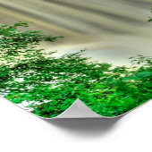 Herfsten van Blackwater, West Virginia Poster (Hoek)