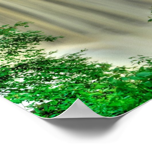 Herfsten van Blackwater, West Virginia Poster (Hoek)