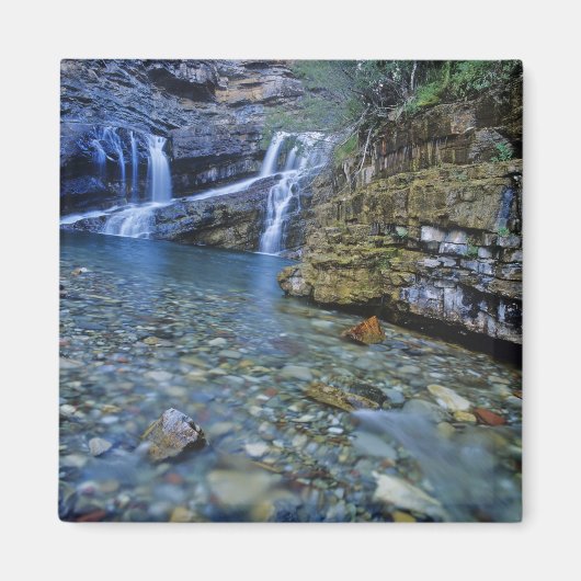 Herfsten van Cameron in Waterton Lakes National Pa Magneet (Voorkant)