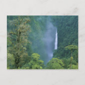 Herfsten van Cordillera Central, Angel Congo), vee Briefkaart (Voorkant)