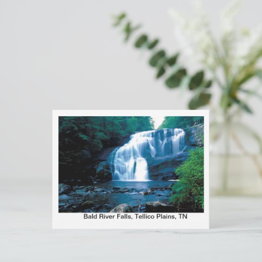 Herfsten van de Bald Briefkaart (Staand voorkant)