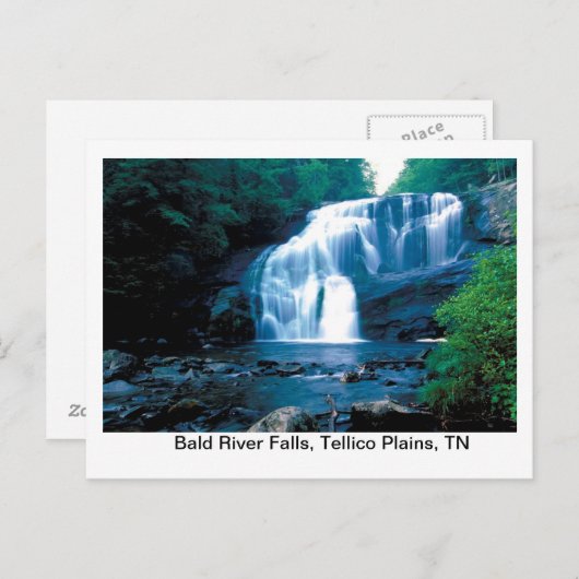 Herfsten van de Bald Briefkaart (Voorkant / Achterkant)