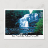 Herfsten van de Bald Briefkaart (Voorkant)