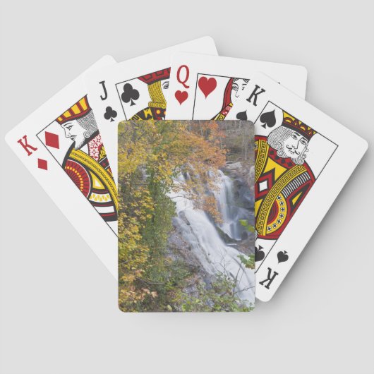 Herfsten van de Bald Speelkaarten (Achterkant)