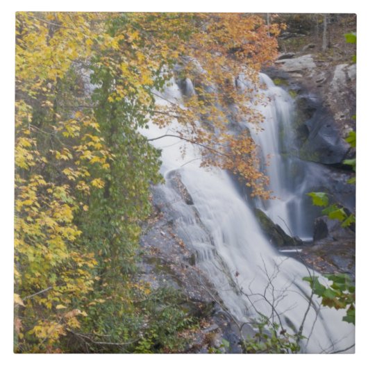 Herfsten van de Bald Tegeltje (Voorkant)