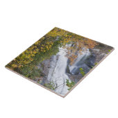 Herfsten van de Bald Tegeltje (Zijkant)