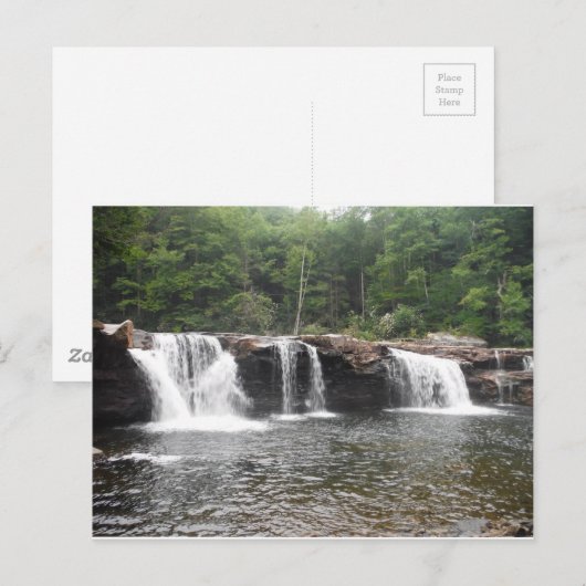 Herfsten van de Cheat Briefkaart (Voorkant / Achterkant)