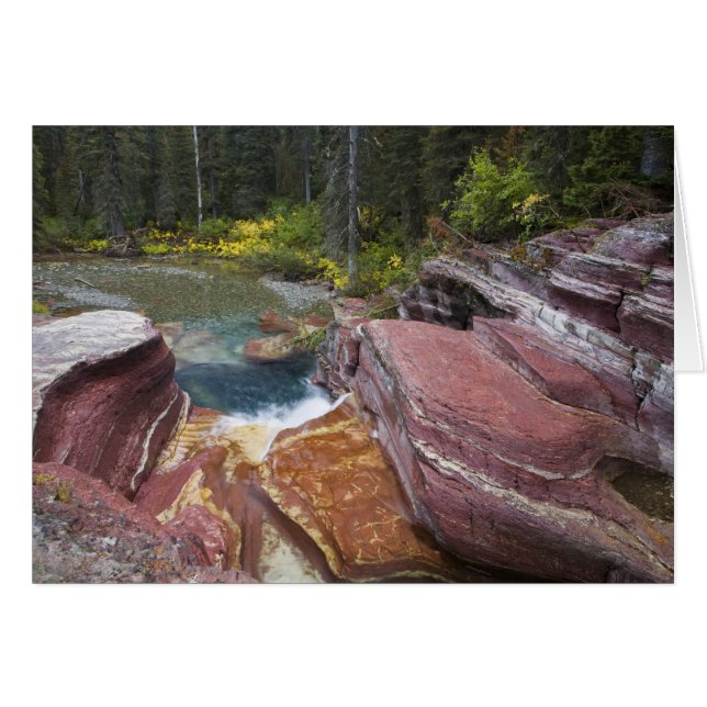 Herfsten van Deadwood op Reynolds Creek in het naj (Voorkant Horizontaal)