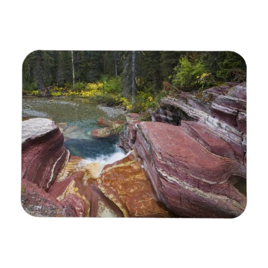 Herfsten van Deadwood op Reynolds Creek in het naj Magneet (Horizontaal)