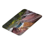 Herfsten van Deadwood op Reynolds Creek in het naj Magneet (Linkerzijde)