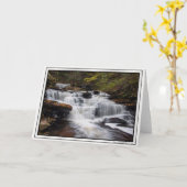 Herfsten van Delaware - najaar 2018 Kaart (Gele Bloem)