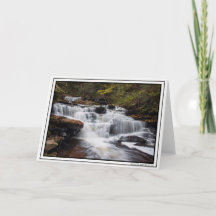 Herfsten van Delaware - najaar 2018