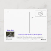 Herfsten van gevogelte briefkaart (Achterkant)