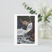 Herfsten van gevogelte in Boulder Canyon, Colorado Briefkaart (Staand voorkant)