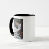 Herfsten van gevogelte in Boulder Canyon, Colorado Mok (Voorkant links)