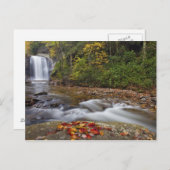 Herfsten van glas in de Pisgah National Briefkaart (Voorkant / Achterkant)