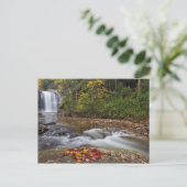 Herfsten van glas in de Pisgah National Briefkaart (Staand voorkant)