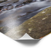 Herfsten van glas in de Pisgah National Foto Afdruk (Hoek)