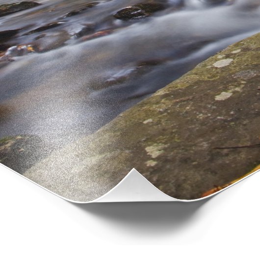 Herfsten van glas in de Pisgah National Foto Afdruk (Hoek)