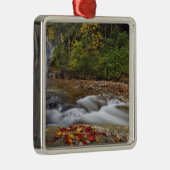 Herfsten van glas in de Pisgah National Metalen Ornament (Rechts)