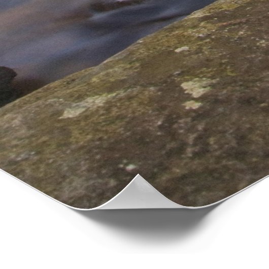 Herfsten van glas in de Pisgah National Poster (Hoek)