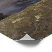 Herfsten van glas in de Pisgah National Poster (Hoek)