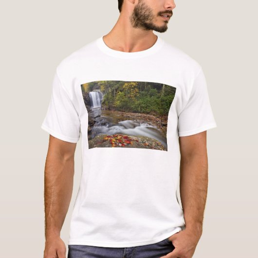 Herfsten van glas in de Pisgah National T-shirt (Voorkant)