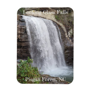 Herfsten van glas magneet