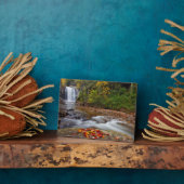 Herfsten van glas - Nationaal bos Pisgah Fotoplaat (Zijkant)