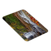 Herfsten van glas - Nationaal bos Pisgah Magneet (Rechterzijde)