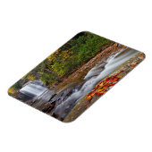 Herfsten van glas - Nationaal bos Pisgah Magneet (Linkerzijde)