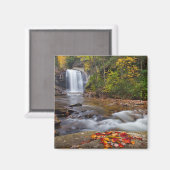 Herfsten van glas - Nationaal bos Pisgah Magneet (Voorkant / Achterkant)