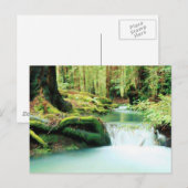 Herfsten van groene rivieren briefkaart (Voorkant / Achterkant)