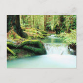Herfsten van groene rivieren briefkaart (Voorkant)