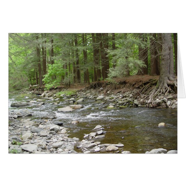 Herfsten van het bovendeel van Raymondvaardigheid (Voorkant Horizontaal)