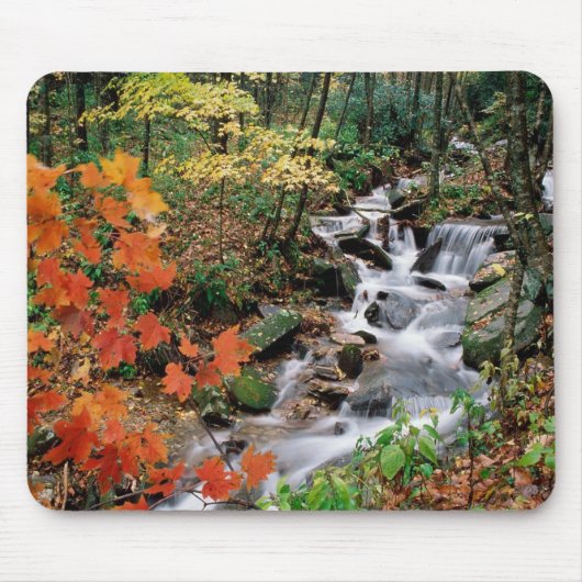 Herfsten van het opa-gebergte muismat (Voorkant)