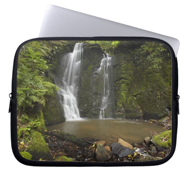 Herfsten van hoefijzer, Herfsten van Matai Laptop Sleeve (Voorkant)