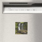Herfsten van hoefijzer, Herfsten van Matai Magneet (Insitu (Vaatwasser))