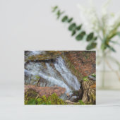 Herfsten van karnemelk, Cuyahoga Valley NP, Ohio Briefkaart (Staand voorkant)