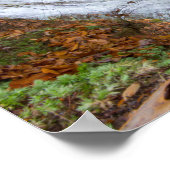 Herfsten van karnemelk, Cuyahoga Valley NP, Ohio Poster (Hoek)